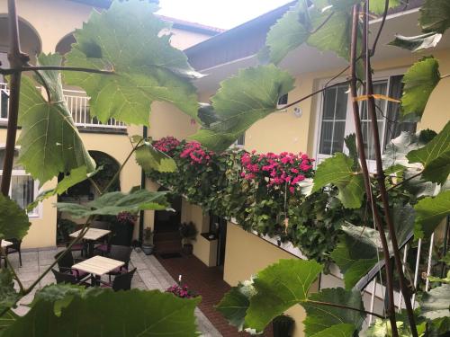 a courtyard in a house with flowers and plants at Pension Peterhof in Mörbisch am See