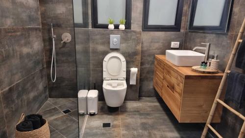 łazienka z toaletą i umywalką w obiekcie אריאה צימר בוטיק לזוגות Aria w mieście HaZore‘im