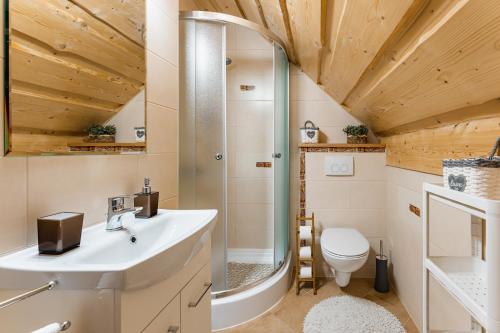 a bathroom with a shower and a sink and a toilet at Domki Pod Jarmutą in Szczawnica