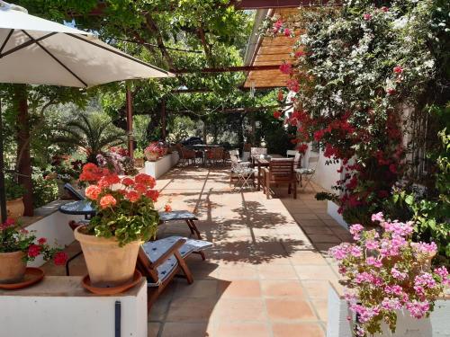 Vonkajšia záhrada v ubytovaní FINCA LOS MELEROS Andalucian farmhouse set in its own land with beautiful terraces, garden & pool.