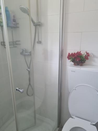 a bathroom with a toilet and a glass shower at Pinat Hashaked in Rosh Pinna