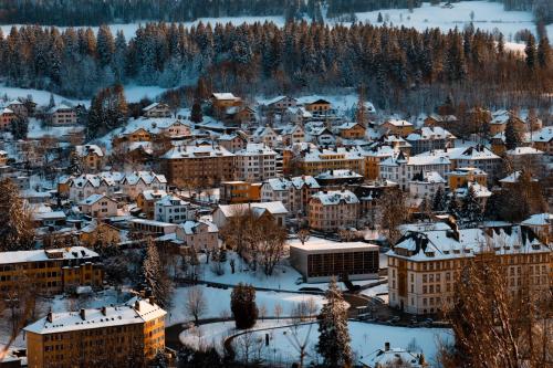 a city covered in snow with buildings and trees at Appartement LUNA avec parking couvert privé in Le Locle