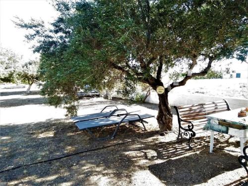 a picnic table and a bench under a tree at Apartments with sea view1 in Ierapetra