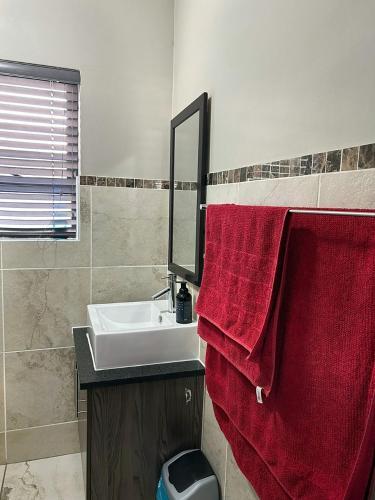 a bathroom with a sink and a red towel at 81 on Groenewoud in Cape Town