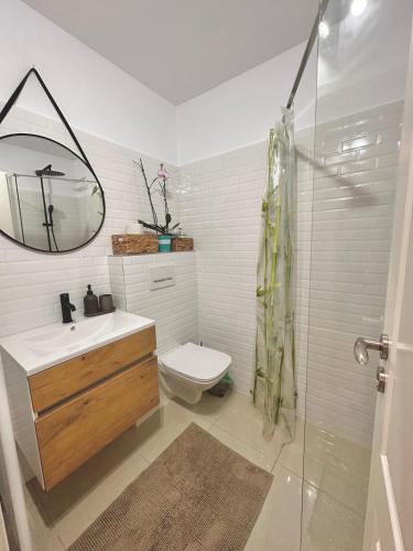 a bathroom with a sink and a toilet and a mirror at CASA 9 in Ferihaza