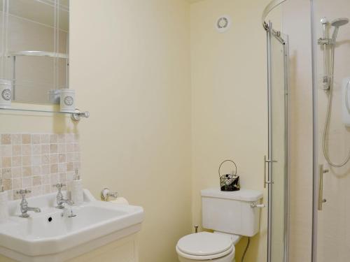 a bathroom with a toilet and a sink and a shower at Alphin Apartment in Greenfield