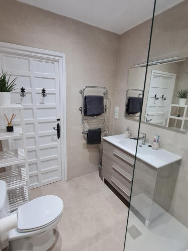 a bathroom with a toilet and a sink and a shower at Capistrano Village, Casa Halo in Nerja