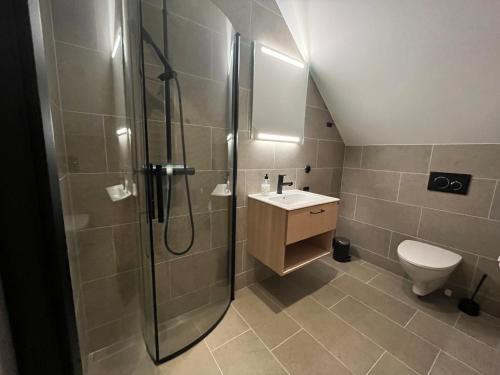 a bathroom with a shower and a toilet and a sink at Kåvan Townhouse Funäsdalen in Funäsdalen