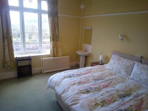 a bedroom with a bed and a sink and a window at Tranquil getaway on edge of the Brecon Beacons in Llandovery