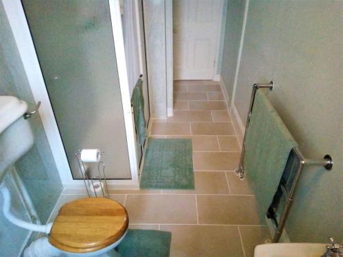 a small bathroom with a toilet and a staircase at Tranquil getaway on edge of the Brecon Beacons in Llandovery