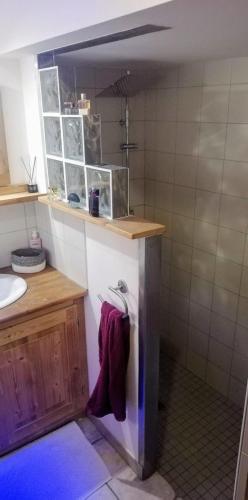 une salle de bain avec un lavabo et un comptoir avec des serviettes dans l'établissement Joli cocon au pied des montagnes, à La Côte-dʼAime