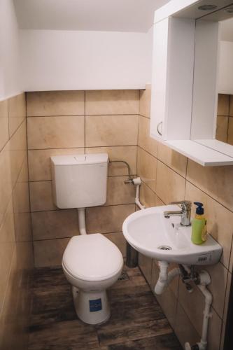 a bathroom with a toilet and a sink at Villa Mihajlovo in Kavadarci
