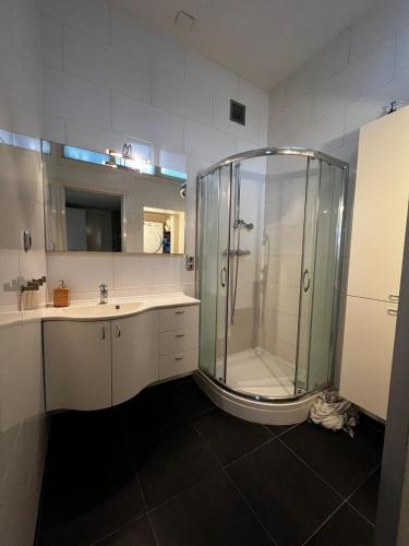 a bathroom with a shower and a sink at New 5min TU Delft & city center Garden Room Cleo in Delft