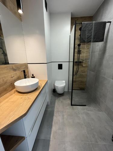 a bathroom with a sink and a shower and a toilet at Apartament Studio Centrum in Koszalin