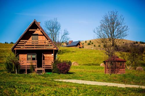 una pequeña casa de madera en un campo de hierba en Sielska Chyża, en Rzepedż