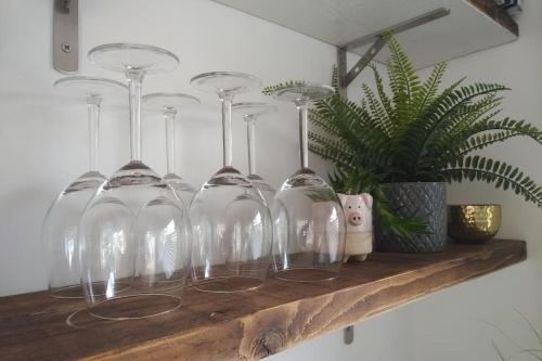 four wine glasses on a wooden shelf with a plant at A Pebbles Throw - 300m from the beach. in Westward Ho