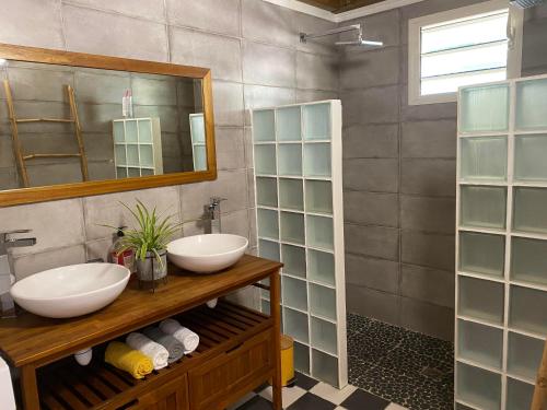 een badkamer met twee wastafels en een spiegel bij Dez'îles Guadeloupe in Sainte-Anne