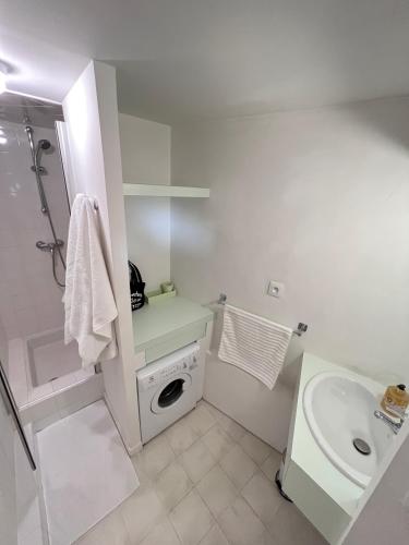 La salle de bains blanche est pourvue d'un lavabo et d'un lave-linge. dans l'établissement 2 Pièces avec vue panoramique sur Clermont-Ferrand, à Clermont-Ferrand