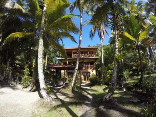 una casa con palmeras delante en Hotel Tierra Verde en Bocas Town