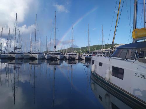 a group of boats docked in a harbor at Imagine972 Martinique Bateau Hotel à Quai le Marin 3 Cabines 3 Salles de bains 6 pers maxi in Le Marin