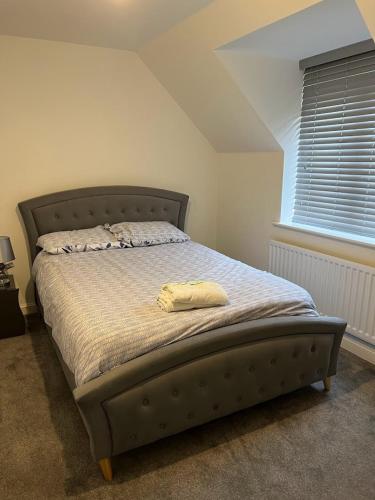 148 Mansell Road photo 52