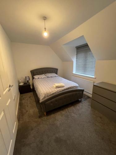 148 Mansell Road photo 51