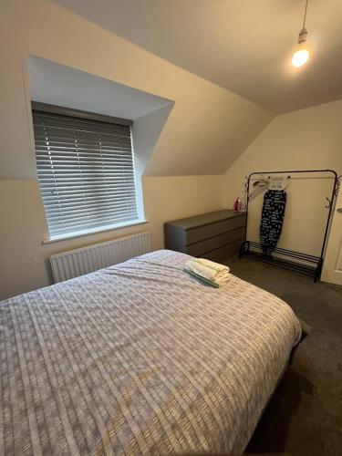 148 Mansell Road photo 57