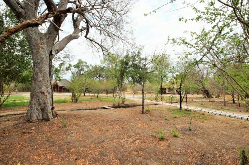 a park with a tree and a white fence at Africa Safari Selous Nyerere national park in Nyakisiku