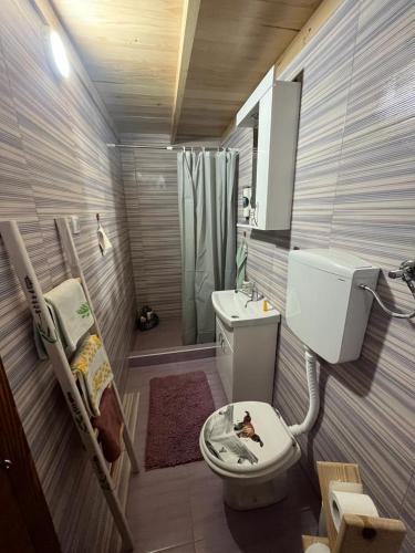 Un baño de Salaš Gnijezdo