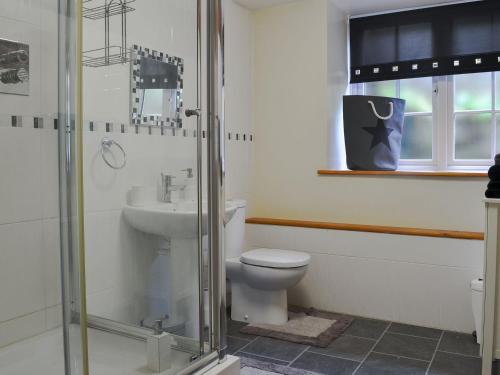 a bathroom with a shower and a toilet and a sink at Snowdon - Uk6627 in Pen-y-groes