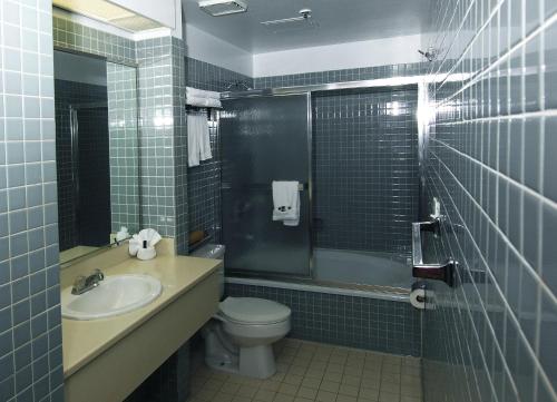 a bathroom with a toilet, sink, and mirror at Metro Plaza Hotel in Los Angeles