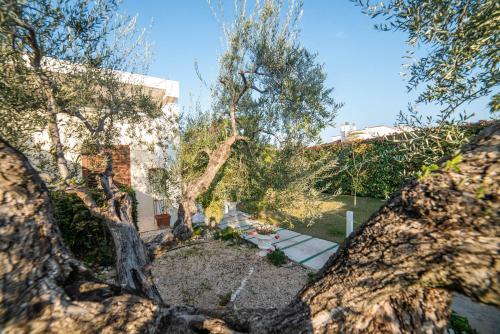 a large tree in front of a house at Oasi della pace in Bisceglie