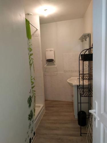 une petite salle de bain avec un lavabo et des toilettes dans l'établissement Le gîte de Marie, à Vals-les-Bains