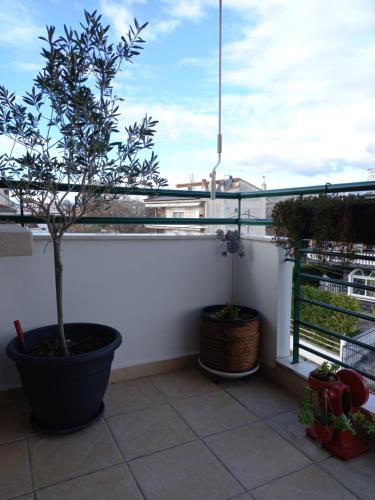 a potted tree sitting on top of a balcony at MODERN SWEET HOME WITH AMAZING VIEW!! in Serres