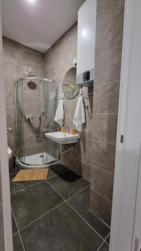 a bathroom with a shower and a sink at Alek Place in Novi Beograd