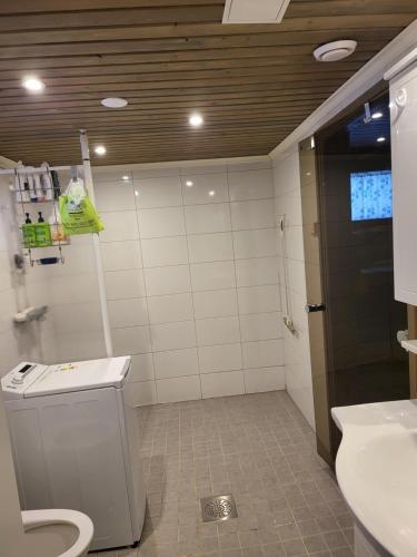 a bathroom with a toilet and a sink at Pajala, talo aavan reunalla in Nivala