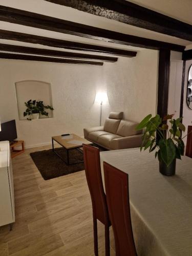 un salon avec un canapé et une table dans l'établissement NEW LOFT CENTRE VIEILLE VILLE, VUE PETITE VENISE Parking, Balcon 2 chambres, à Colmar