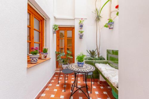 Bright apartment with patio and balconies in the center