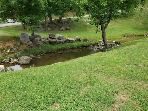 Story Brook: Beautiful true log cabin! Close to Dollywood, State Park, and more! photo 17