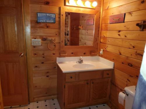 セバービルにあるStory Brook: Beautiful true log cabin! Close to Dollywood, State Park, and more!の洗面台と鏡のあるバスルーム