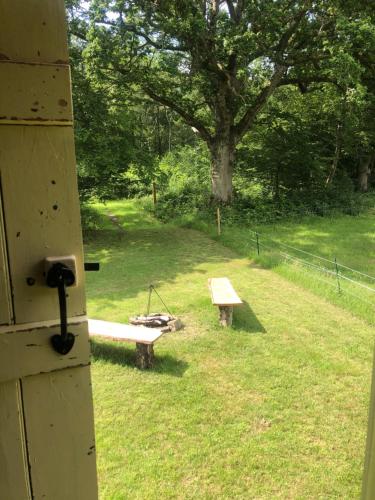 two benches sitting in a field with a tree at The Big Green Shepherds Hut in Charlwood