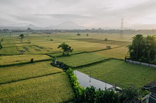 een grasveld met bergen in de verte bij Maha Shanti Ubud Villa in Ubud