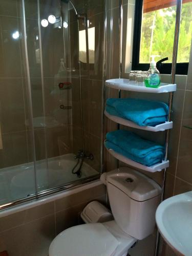a bathroom with a shower and a toilet and a sink at Refugio de Caty in Bahía Mansa