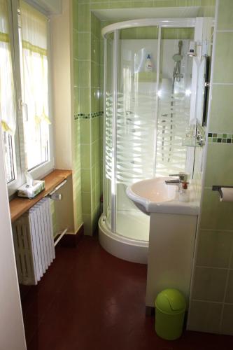 une salle de bain avec douche et lavabo dans l'établissement Aux Berges de la Thur, à Staffelfelden