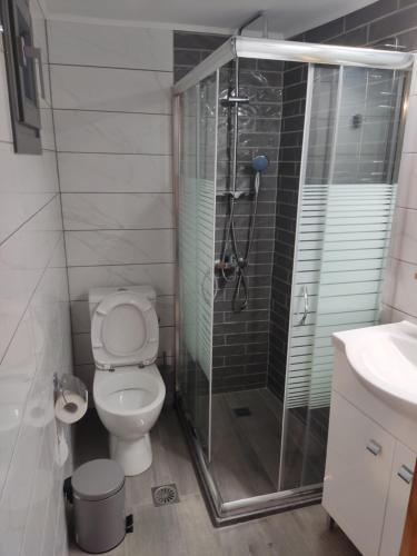 a bathroom with a toilet and a glass shower at Irini's Home - Pitsidia in Pitsidia
