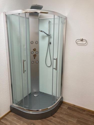 a shower with a glass enclosure in a room at Ferienwohnung Funke F3 für Monteure in Apolda