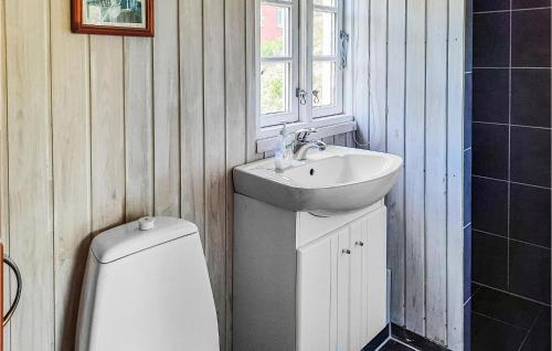 a bathroom with a sink and a toilet and a sink at Stunning Home In Anholt With 3 Bedrooms in Anholt