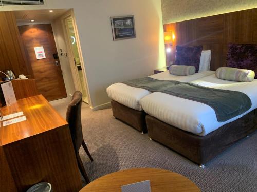 Executive Twin Room