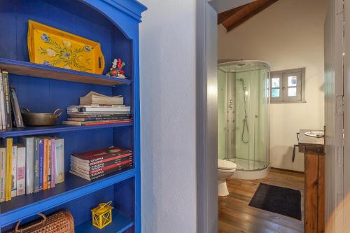 estante de libros azul en el baño con ducha en Vale da Silva Villas - Homes, en Albergaria-a-Velha