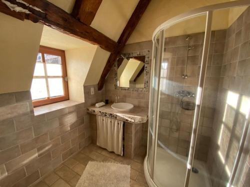 W łazience znajduje się prysznic i umywalka. w obiekcie Le Gite des Montagnes - Saint Projet de Salers w mieście Saint-Projet-de-Salers
